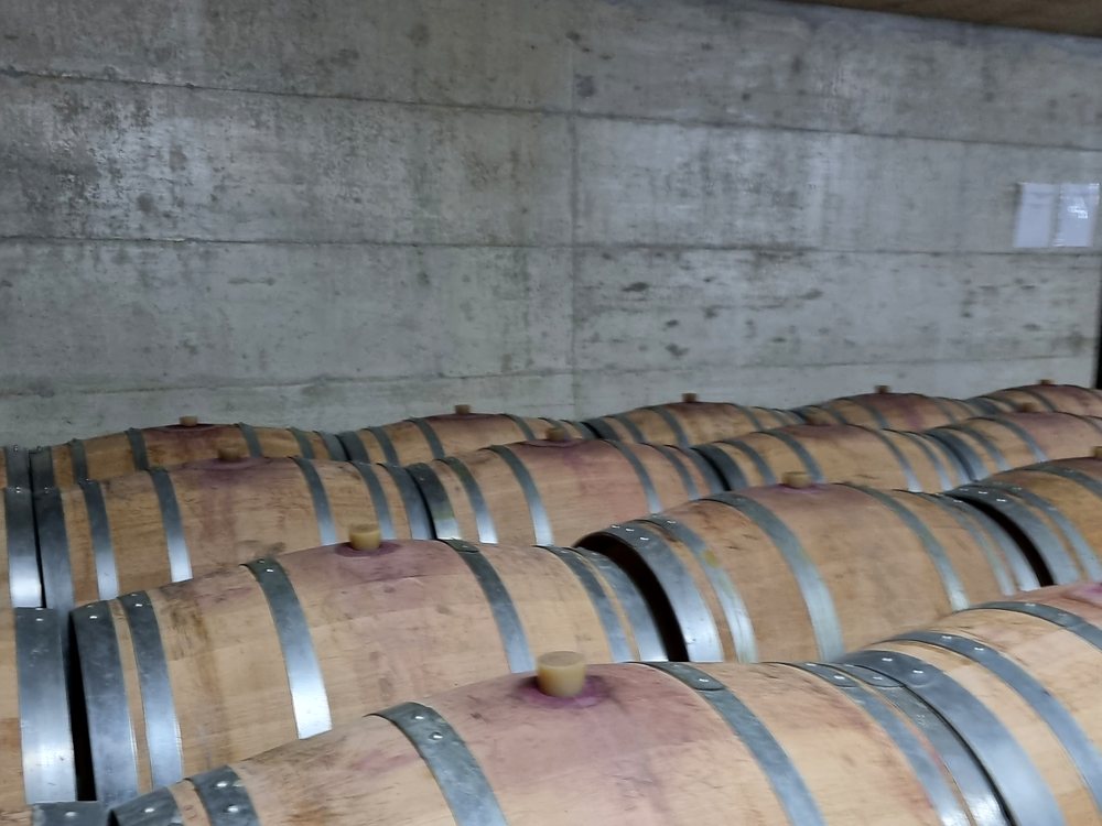 Barrique nella cantina di affinamento